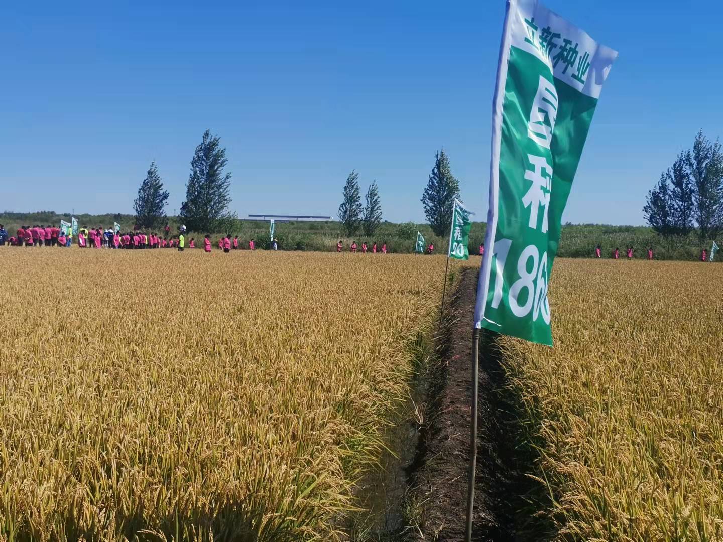 2021佳蓮種業(yè)秋季現(xiàn)場(chǎng)